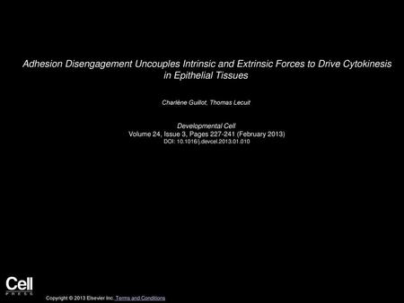 Adhesion Disengagement Uncouples Intrinsic and Extrinsic Forces to Drive Cytokinesis in Epithelial Tissues  Charlène Guillot, Thomas Lecuit  Developmental.