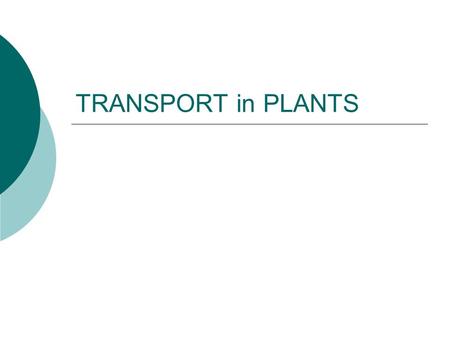 TRANSPORT in PLANTS.