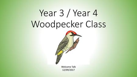 Year 3 / Year 4 Woodpecker Class