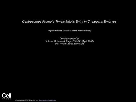 Centrosomes Promote Timely Mitotic Entry in C. elegans Embryos