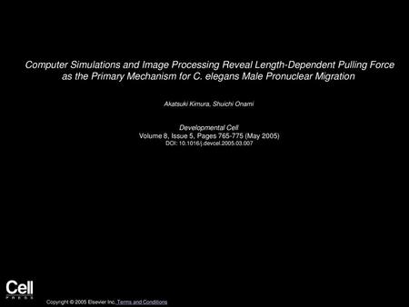 Computer Simulations and Image Processing Reveal Length-Dependent Pulling Force as the Primary Mechanism for C. elegans Male Pronuclear Migration  Akatsuki.