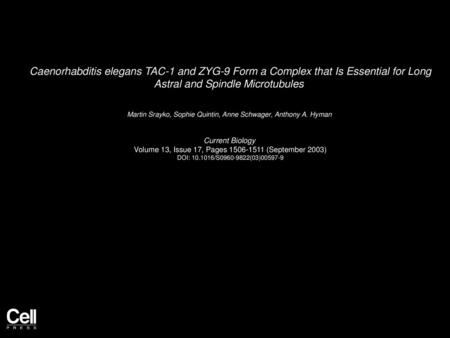 Caenorhabditis elegans TAC-1 and ZYG-9 Form a Complex that Is Essential for Long Astral and Spindle Microtubules  Martin Srayko, Sophie Quintin, Anne.