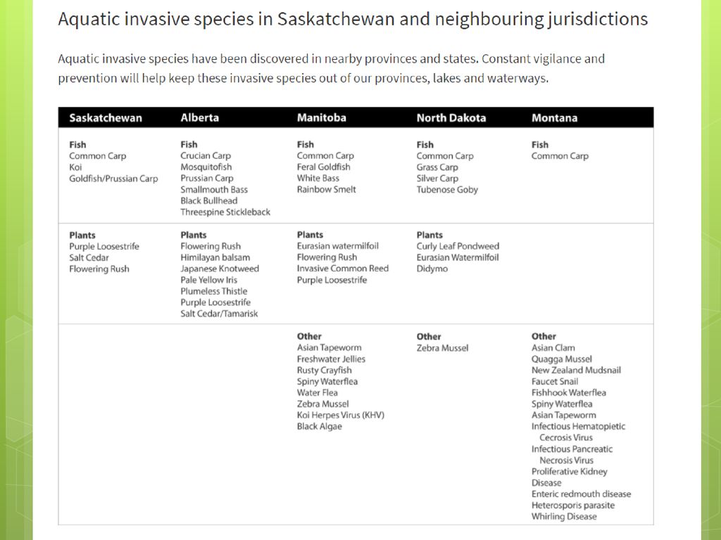 Species at Risk. - ppt download