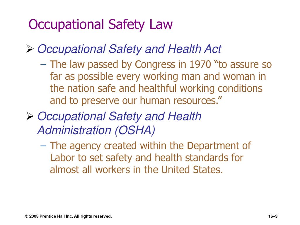 Employee Safety and Health - ppt download