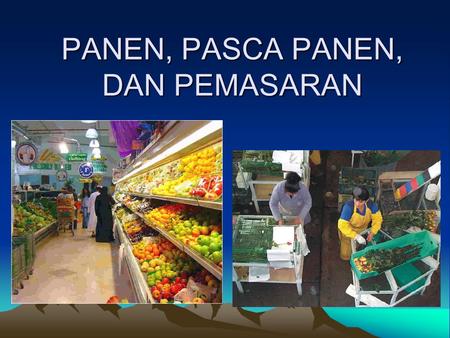 PANEN, PASCA PANEN, DAN PEMASARAN