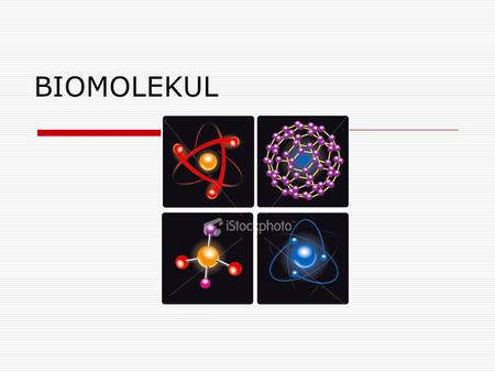 BIOMOLEKUL.