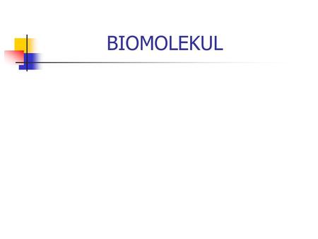 BIOMOLEKUL.