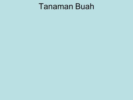 Tanaman Buah.