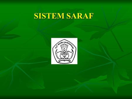 SISTEM SARAF.