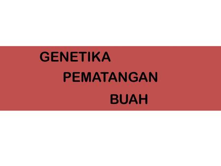 GENETIKA PEMATANGAN BUAH.