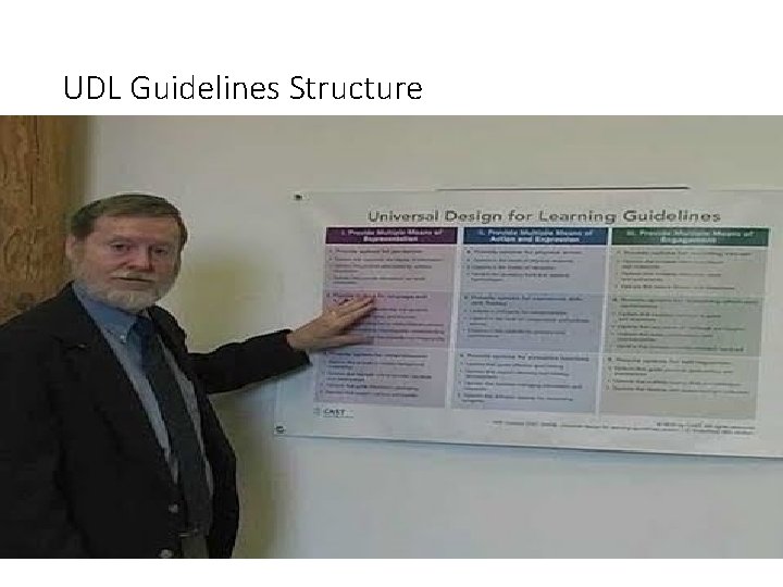 UDL Guidelines Structure 