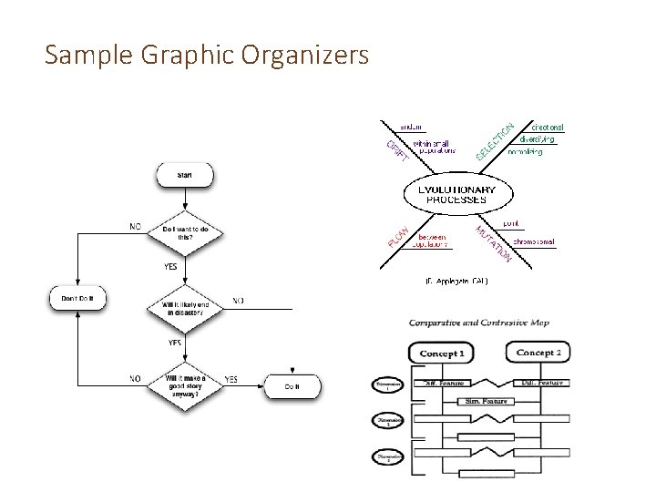 Sample Graphic Organizers 