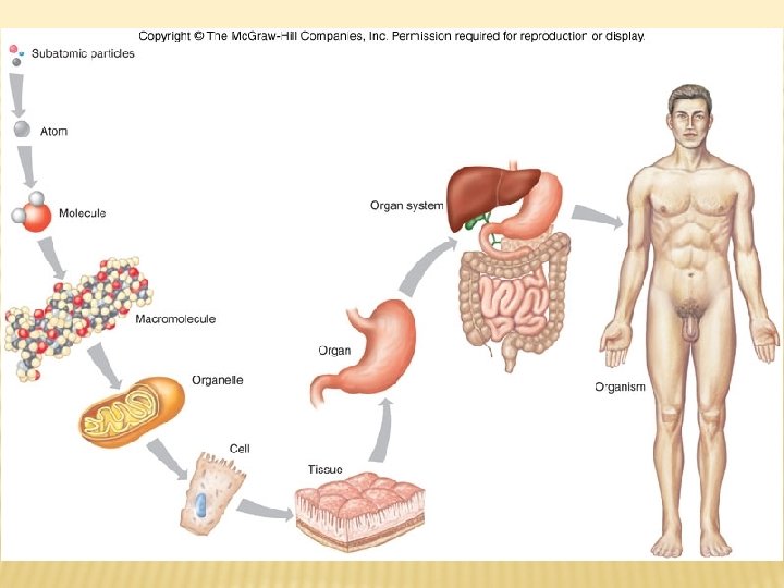 FIGURE 01. 03 