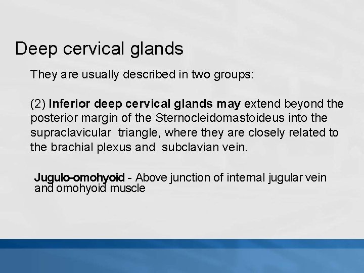 Deep cervical glands They are usually described in two groups: (2) Inferior deep cervical