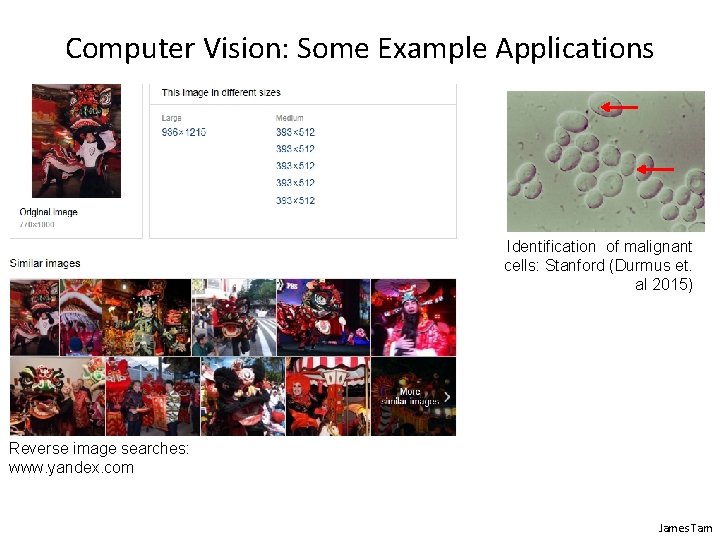 Computer Vision: Some Example Applications Identification of malignant cells: Stanford (Durmus et. al 2015)