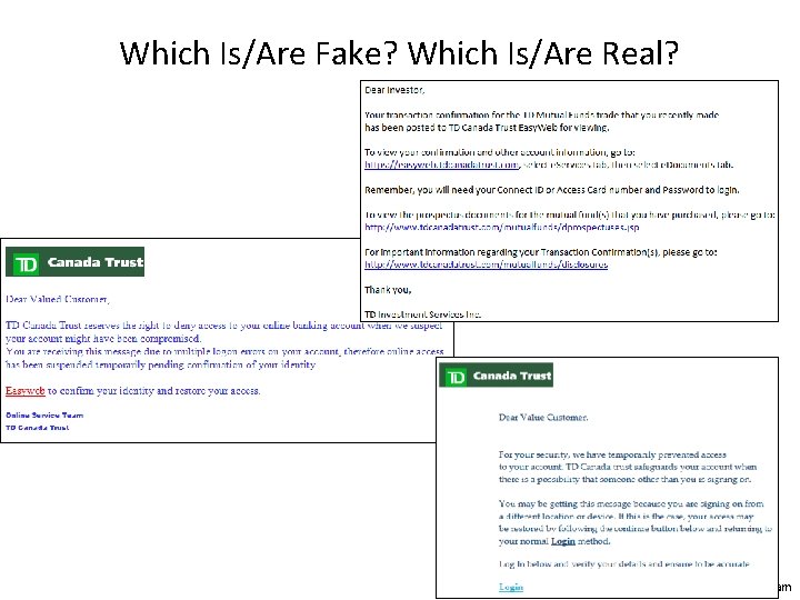 Which Is/Are Fake? Which Is/Are Real? James Tam 