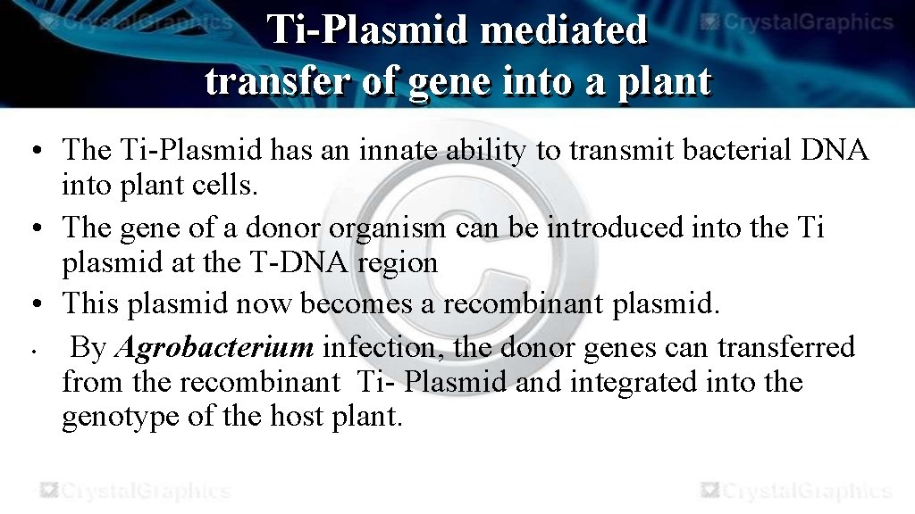 Ti-Plasmid mediated transfer of gene into a plant • The Ti-Plasmid has an innate