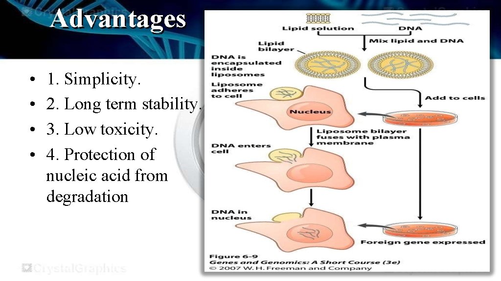 Advantages • • 1. Simplicity. 2. Long term stability. 3. Low toxicity. 4. Protection