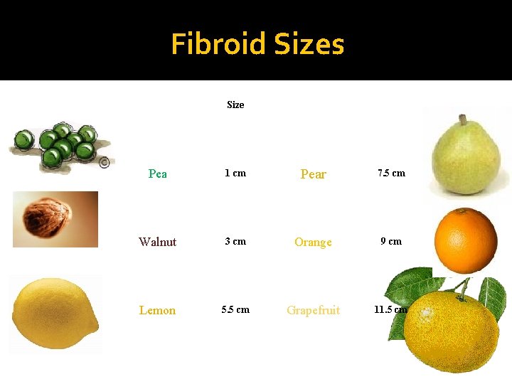 A Visual Guide To Fibroid Sizes USA Fibroid Centers, 49% OFF