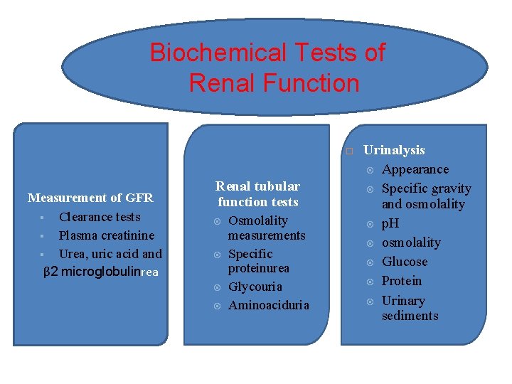 Lab 4 Renal Function test RFT Khadija Balubaid