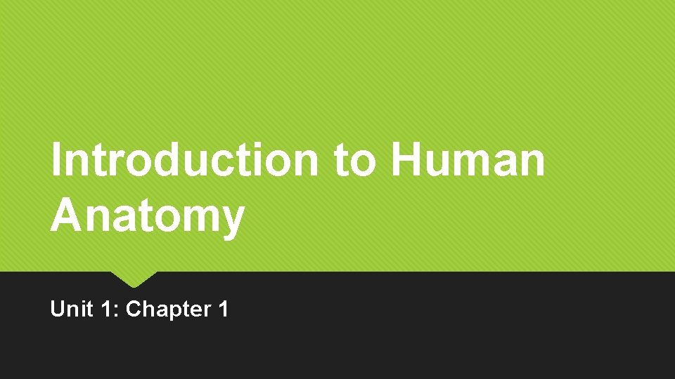 Introduction to Human Anatomy Unit 1: Chapter 1 