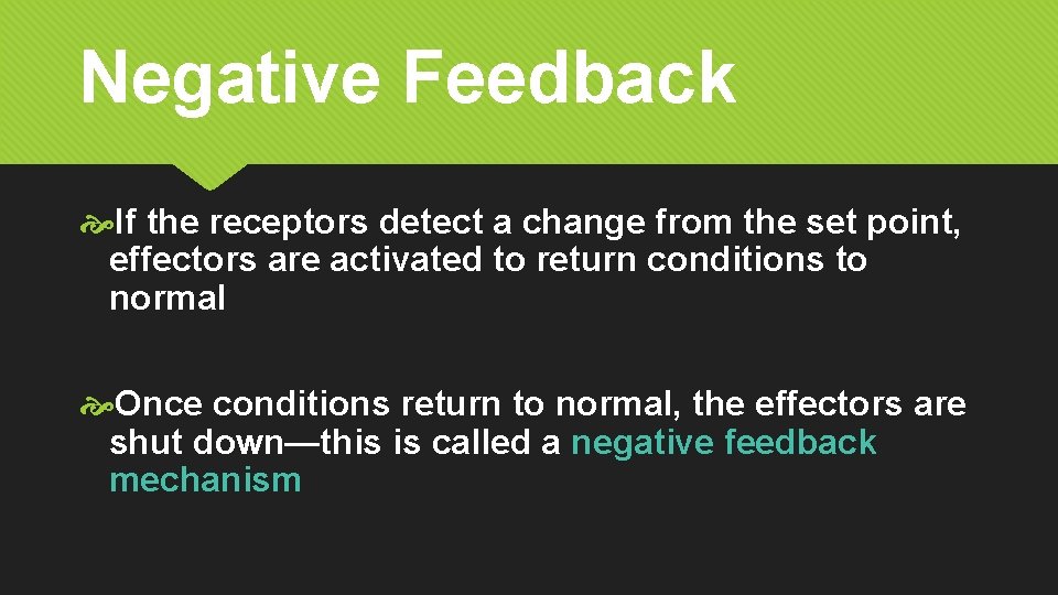 Negative Feedback If the receptors detect a change from the set point, effectors are