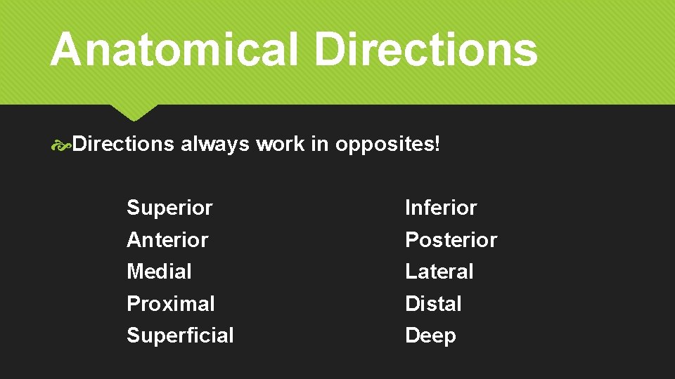 Anatomical Directions always work in opposites! Superior Inferior Anterior Posterior Medial Lateral Proximal Distal