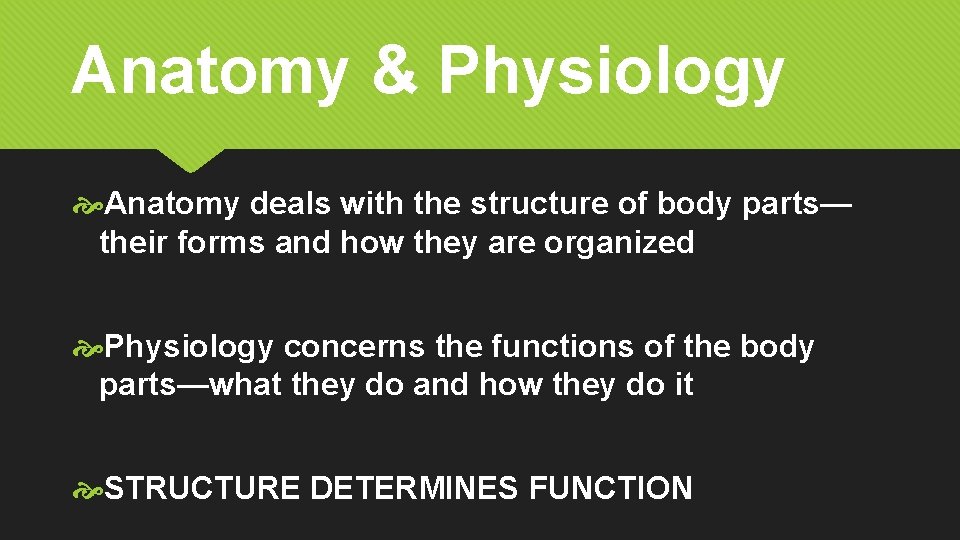 Anatomy & Physiology Anatomy deals with the structure of body parts— their forms and