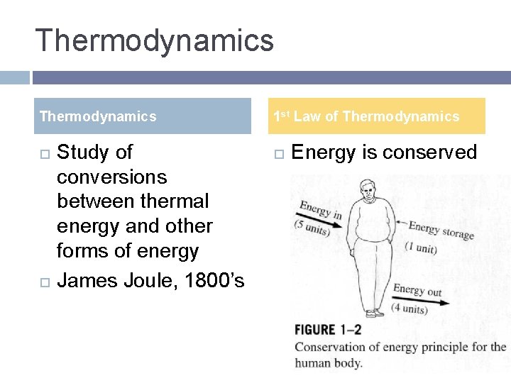 Thermodynamics Study of conversions between thermal energy and other forms of energy James Joule,