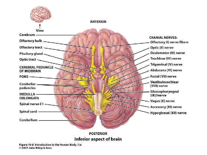 Figure 10. 8 