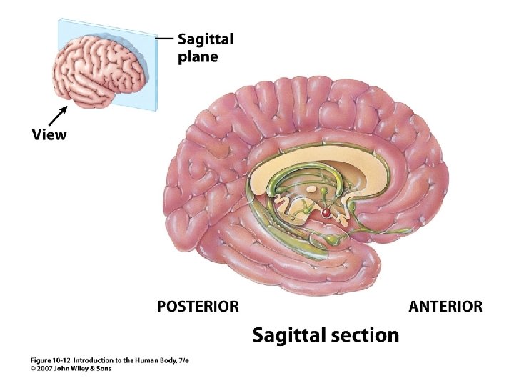 Figure 10. 12 