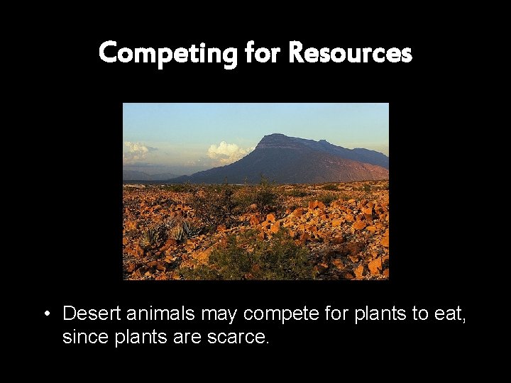 Competing for Resources • Desert animals may compete for plants to eat, since plants