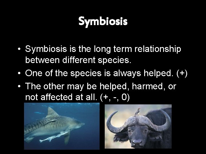 Symbiosis • Symbiosis is the long term relationship between different species. • One of