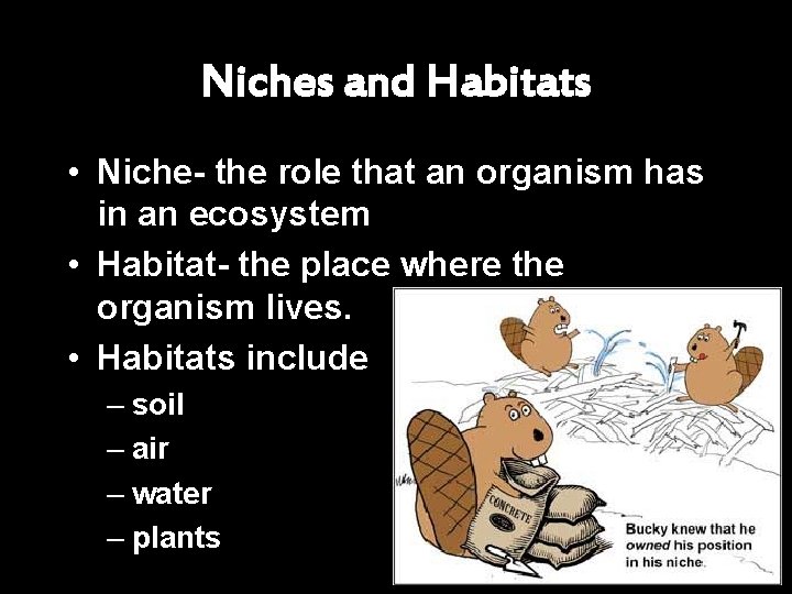 Niches and Habitats • Niche- the role that an organism has in an ecosystem