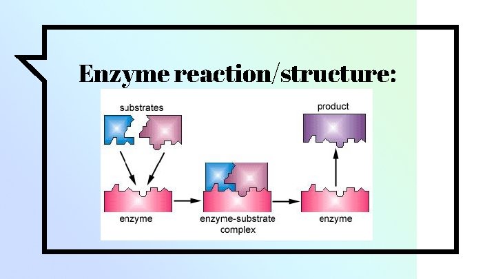 Enzyme reaction/structure: 