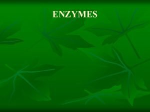 ENZYMES ENZYME STRUCTURE ENZYME n n n Enzymes