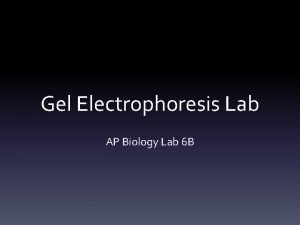 Bio lab gel