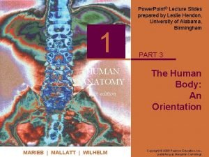 Human anatomy fifth edition