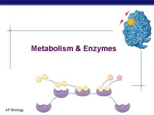 Ap biology enzyme