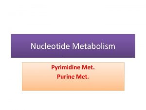 Biosynthesis of purine nucleotides