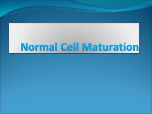 Normal Cell Maturation Blood cells maturation Blood cells