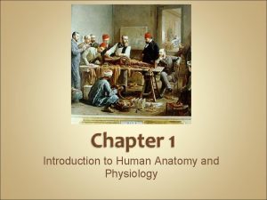 Introduction to Human Anatomy and Physiology Anatomy the