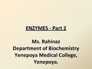 Digestive enzymes and their functions table