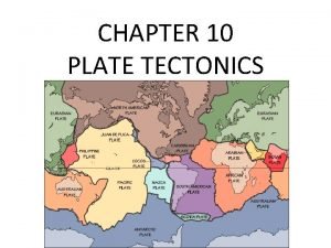 Fossils as evidence of continental drift