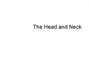 The Head and Neck Triangles of the Neck