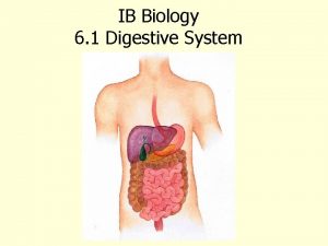 Annotated diagram of digestive system