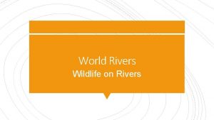 World Rivers Wildlife on Rivers How do rivers