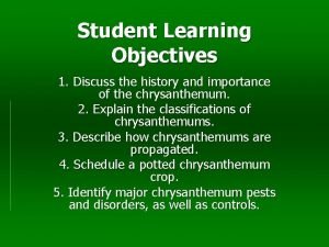 Chrysanthemum lower classifications