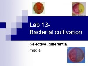 Non fastidious definition microbiology