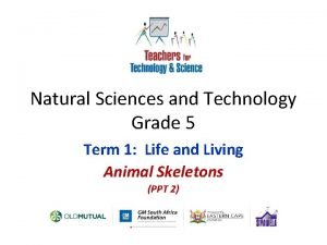 Natural science grade 5 term 1